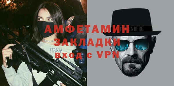 сатива Беломорск