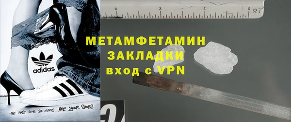 сатива Беломорск