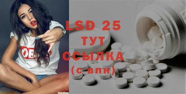 ПСИЛОЦИБИНОВЫЕ ГРИБЫ Белокуриха
