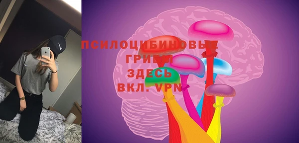 сатива Беломорск
