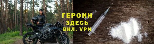 сатива Беломорск